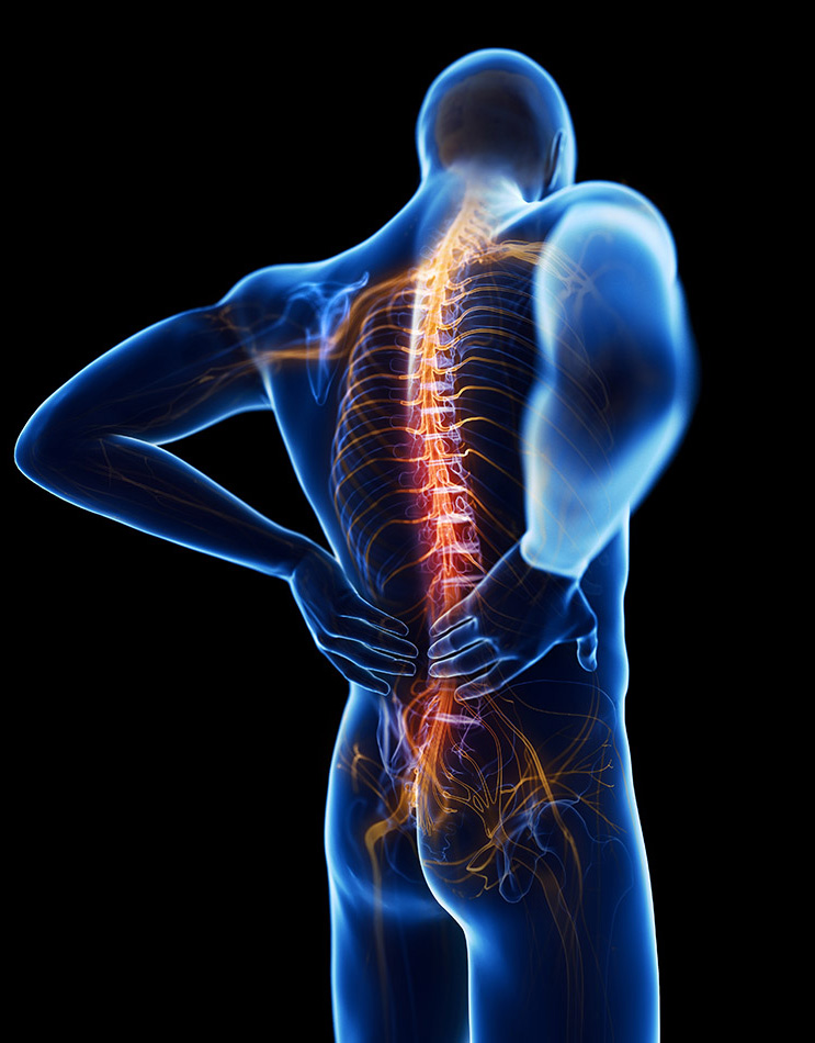 Chiropractor for back pain